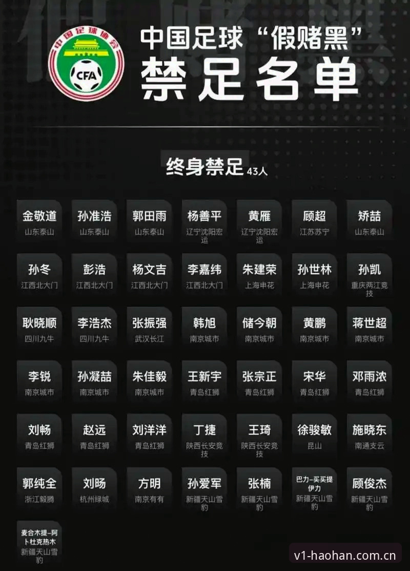掌握足球反腐禁足名单的深度解读与实用指南
