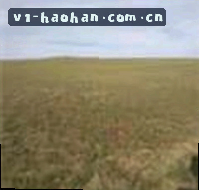 陈敏